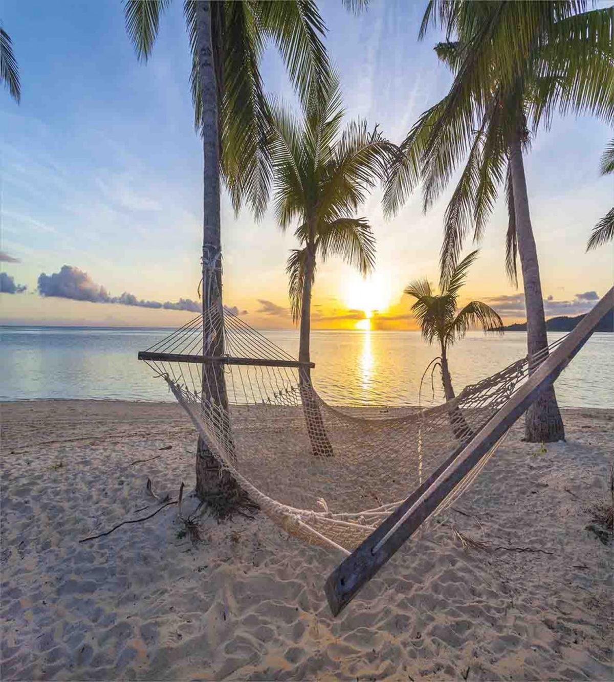Paradise Beach Palms — Pattern