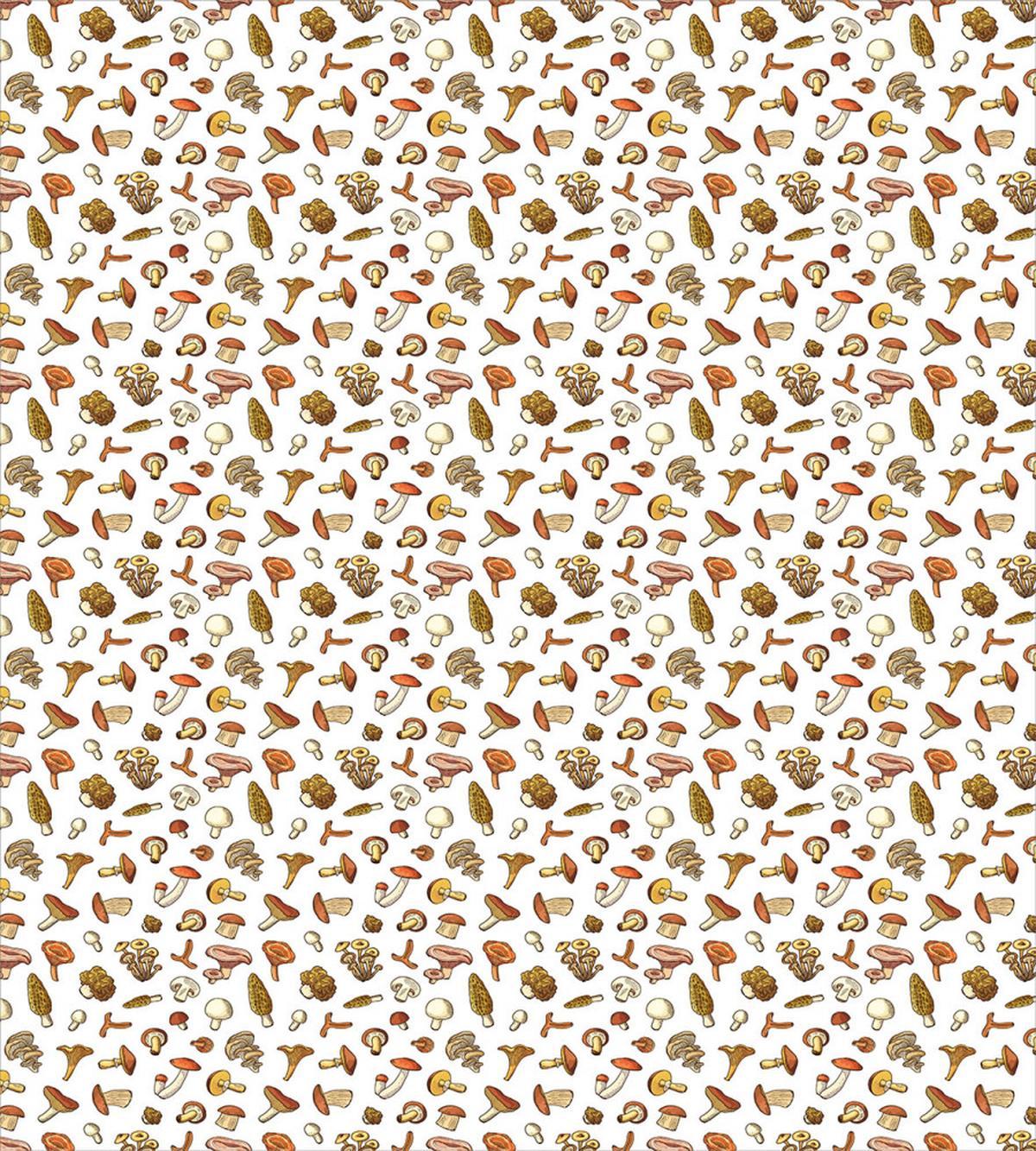 Various Mushrooms Scattered — Pattern