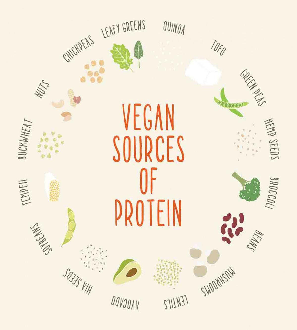 Vegan Sources of Protein — Pattern