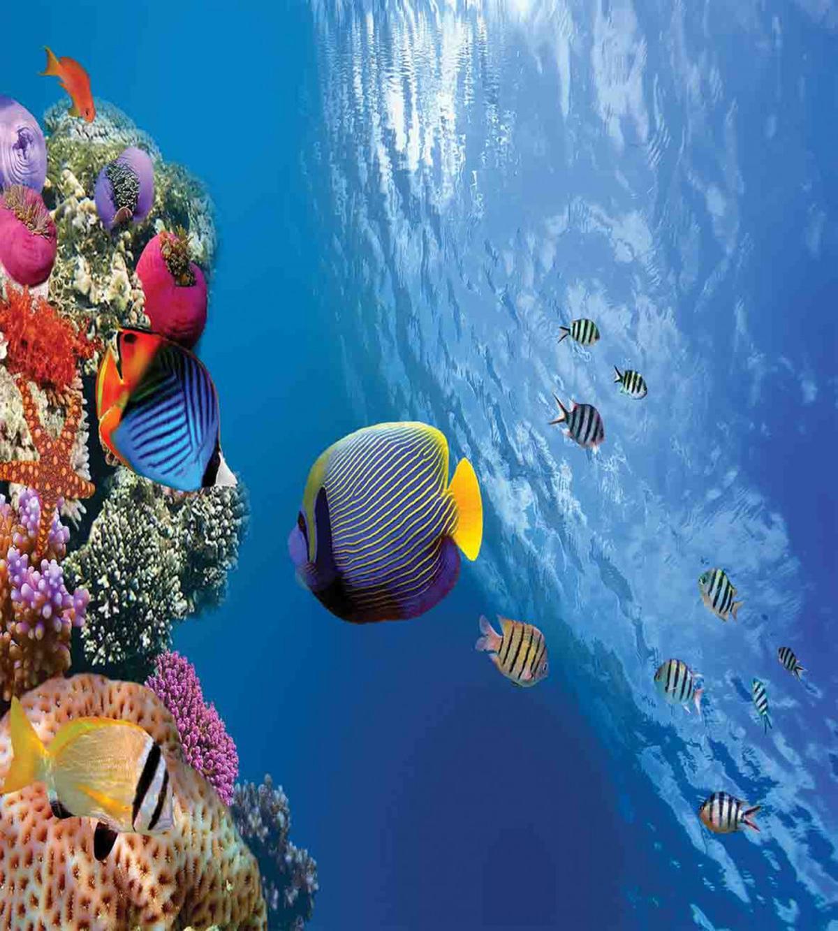 Underwater Fish Sea — Pattern