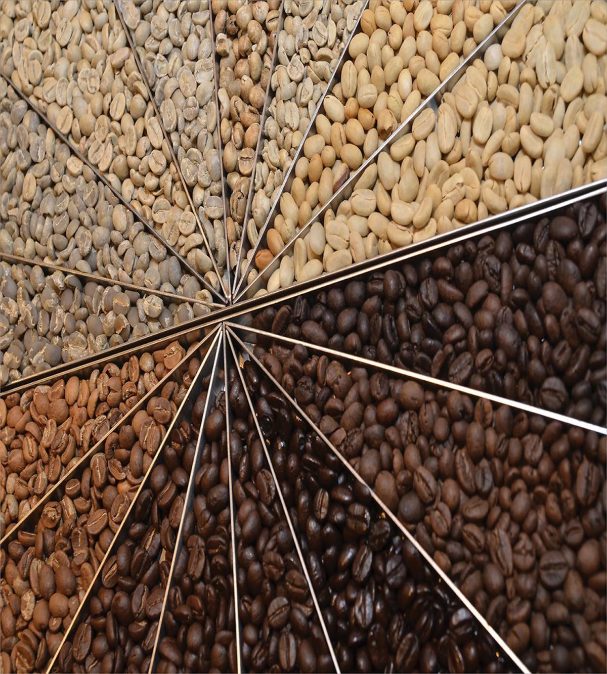 Many Varieties of Beans — Pattern