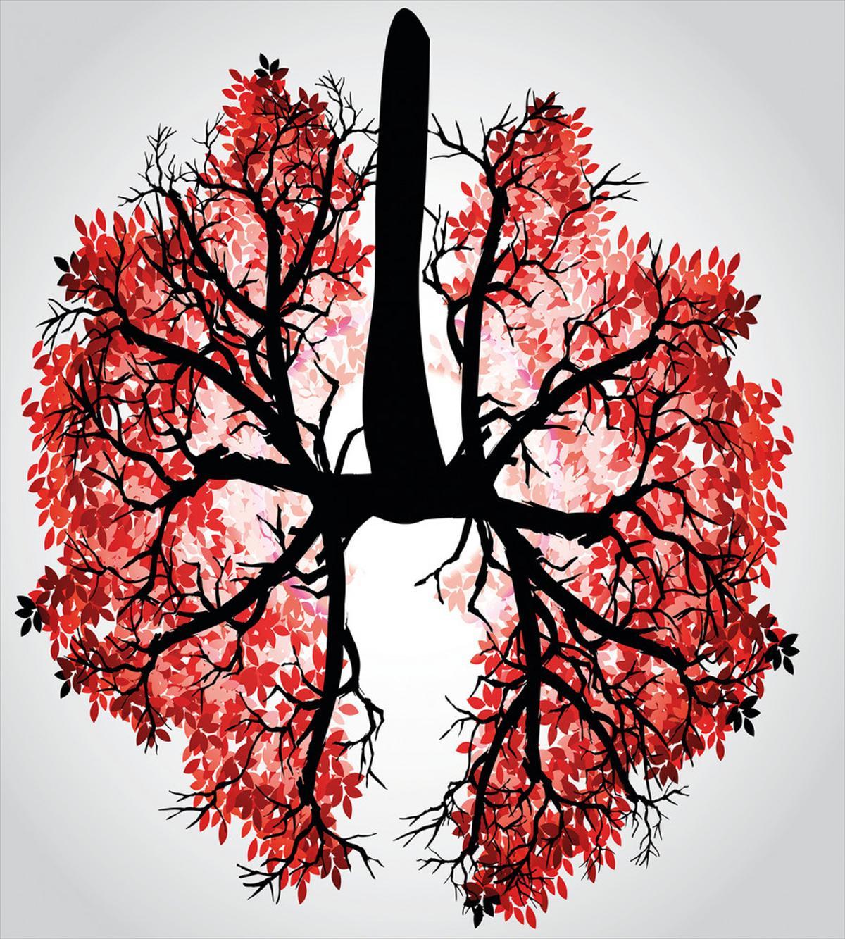 Human Lung Floral Healthy — Pattern