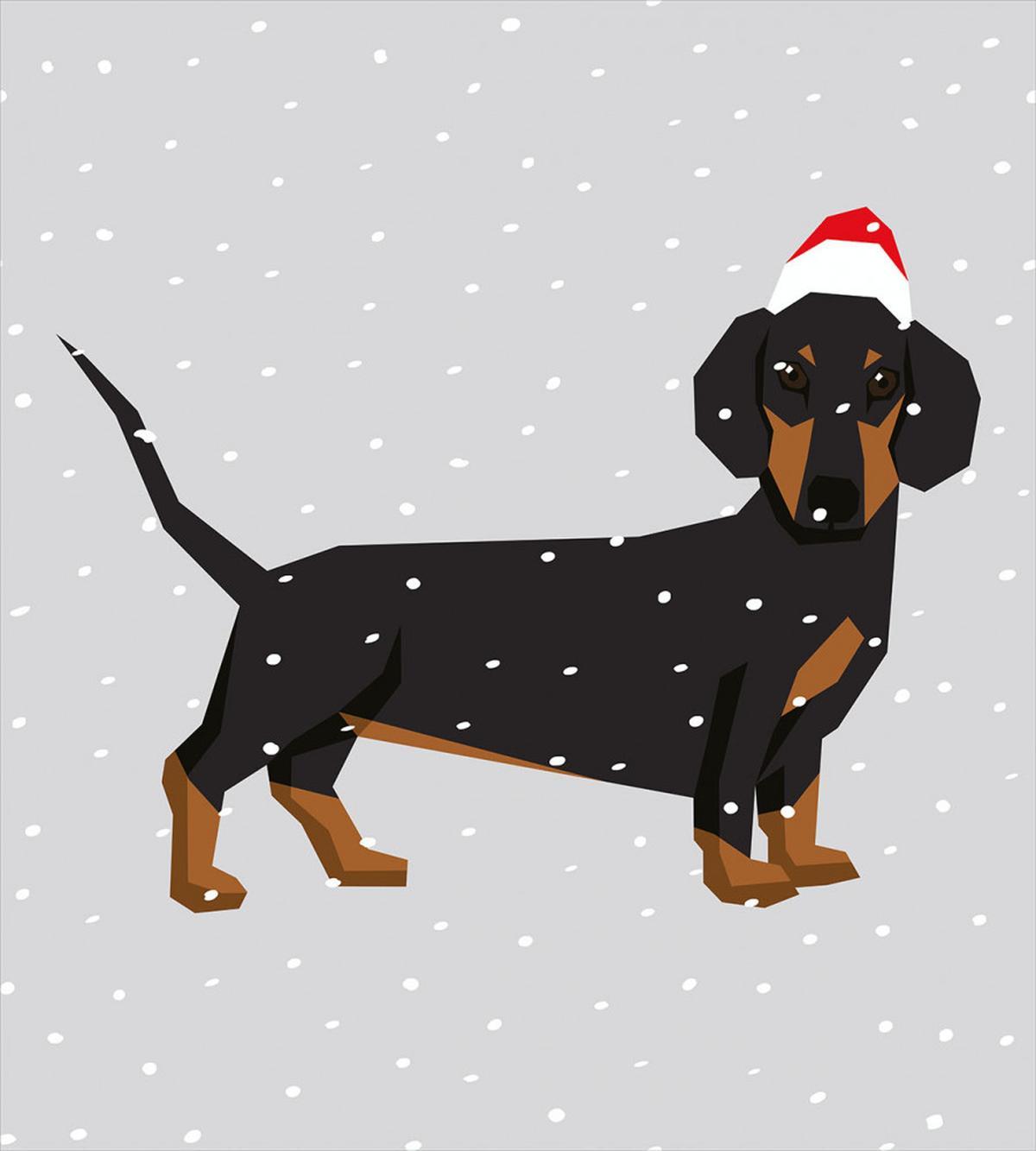 Dog Wears Xmas Hat Snow — Pattern