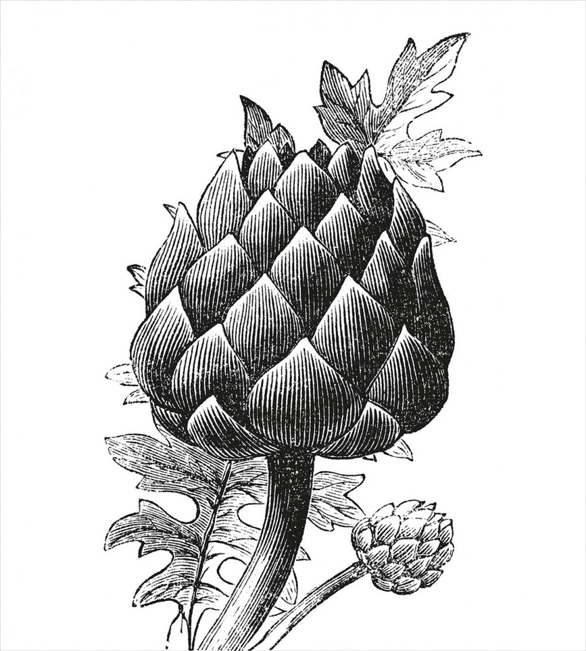 Artichoke Hand Drawn — Pattern