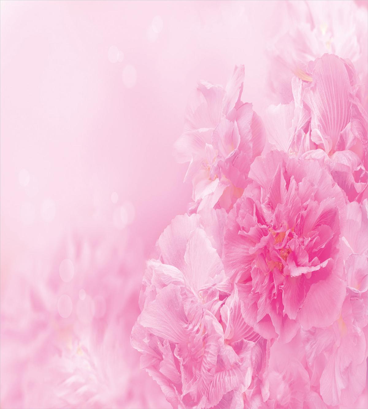 Spring Flora Shabby — Pattern