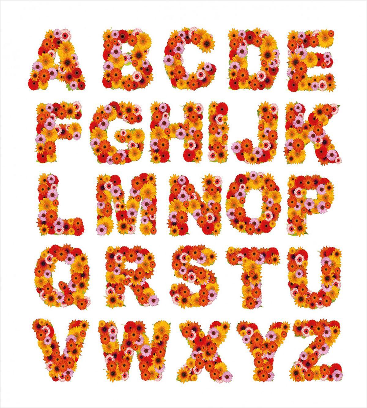 Alphabet Gerbera Flora — Pattern