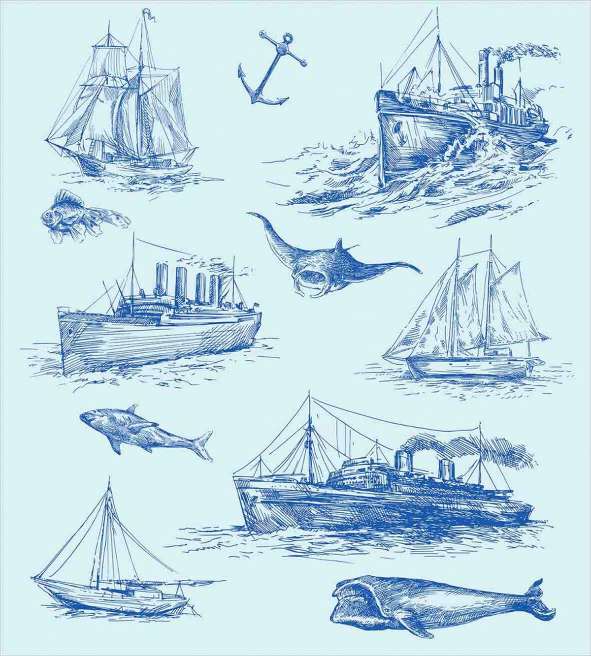 Wildlife Shark Boat — Pattern