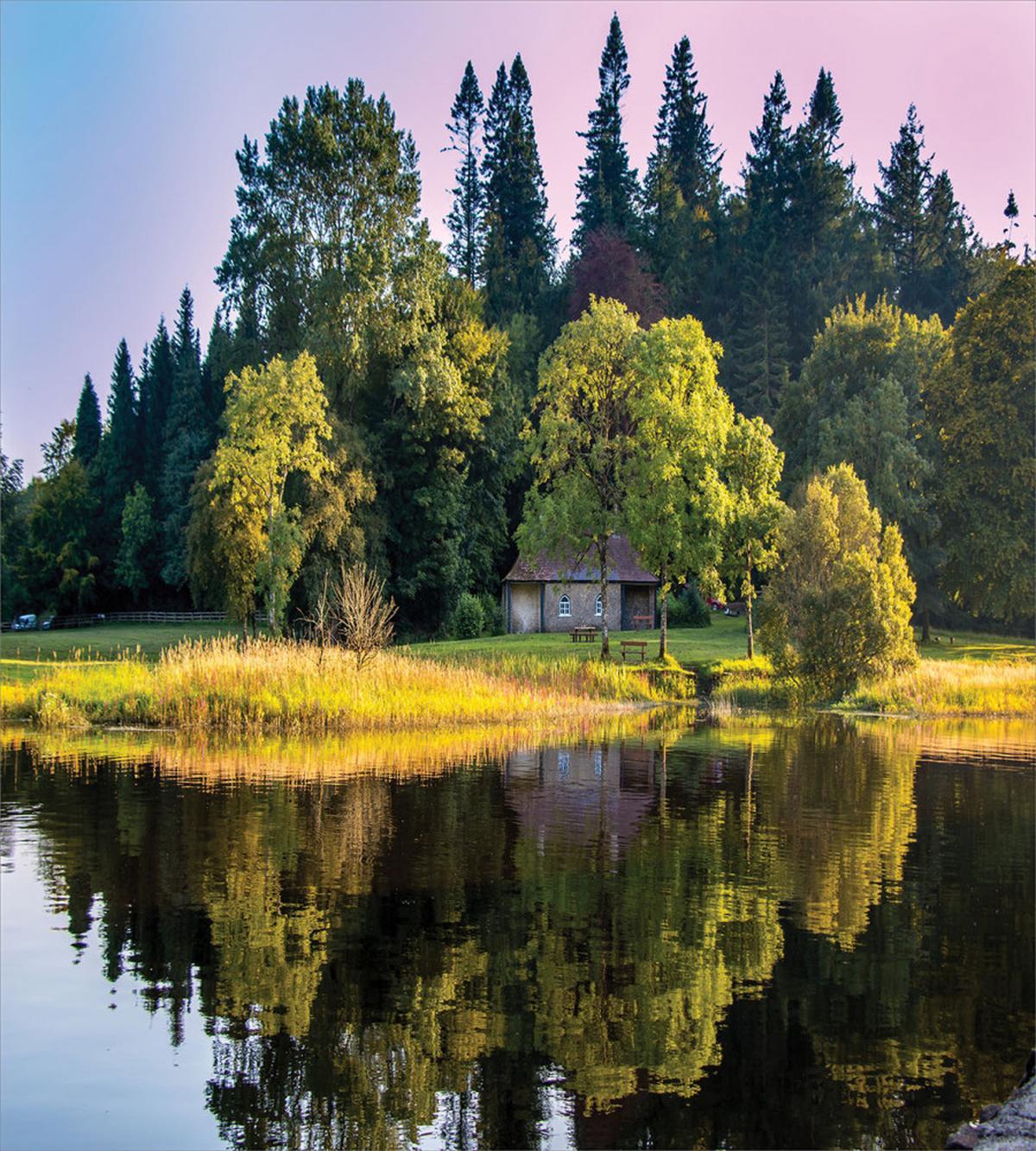 Country House in Woodland — Pattern