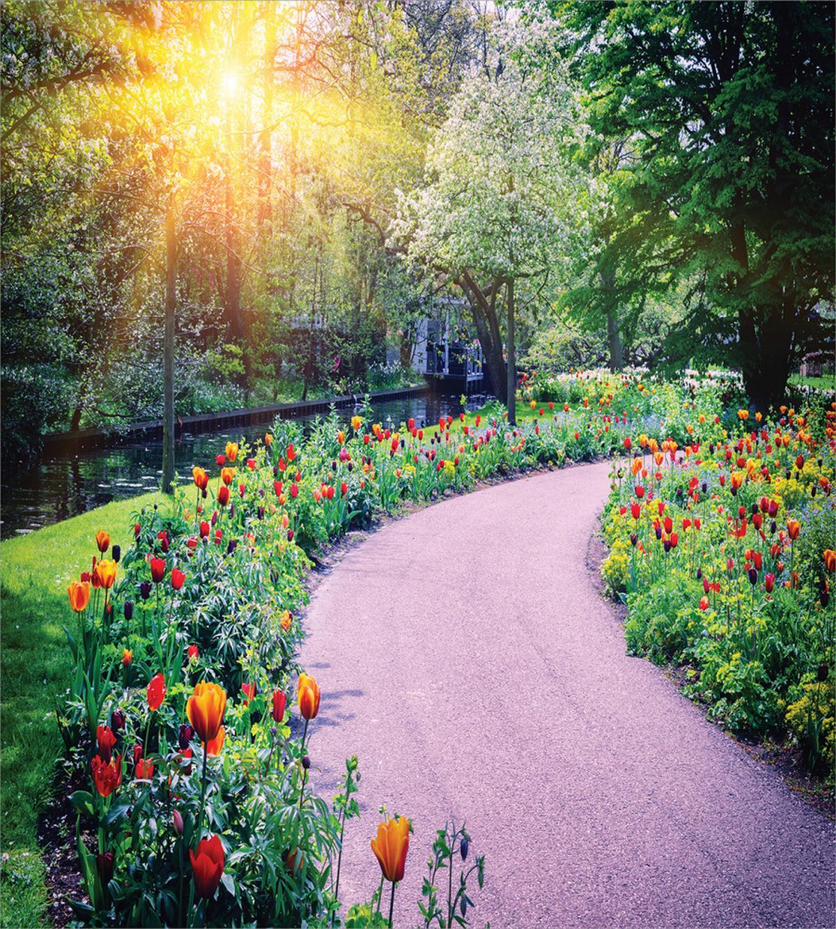 Keukenhof Netherlands — Pattern