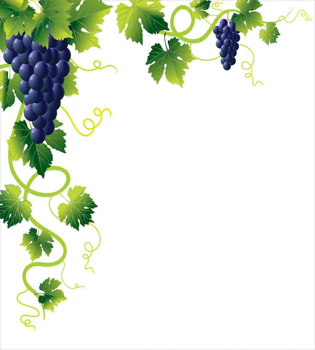 Weeping Vines Vineyard — Pattern