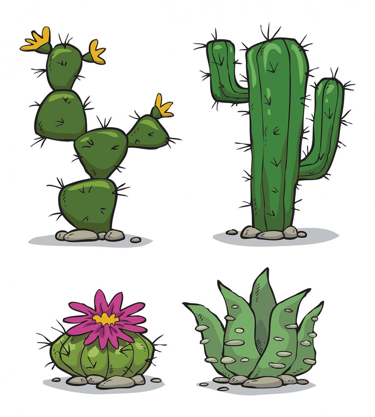Mexican Flora Pattern — Pattern