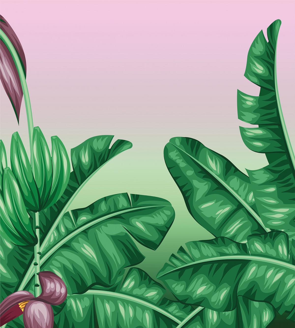 Exotic Orchid Blooms — Pattern