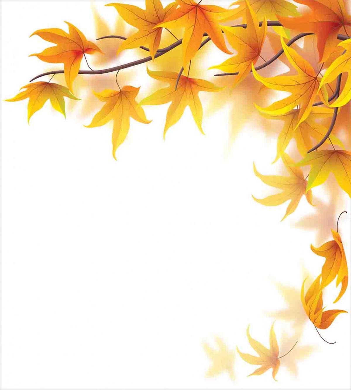 Maple Leaf Branches — Pattern