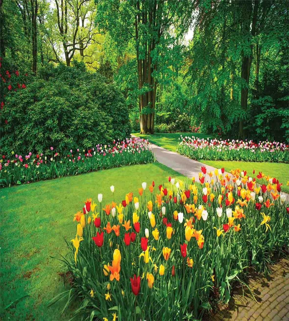 Garden with Tulips Trees — Pattern