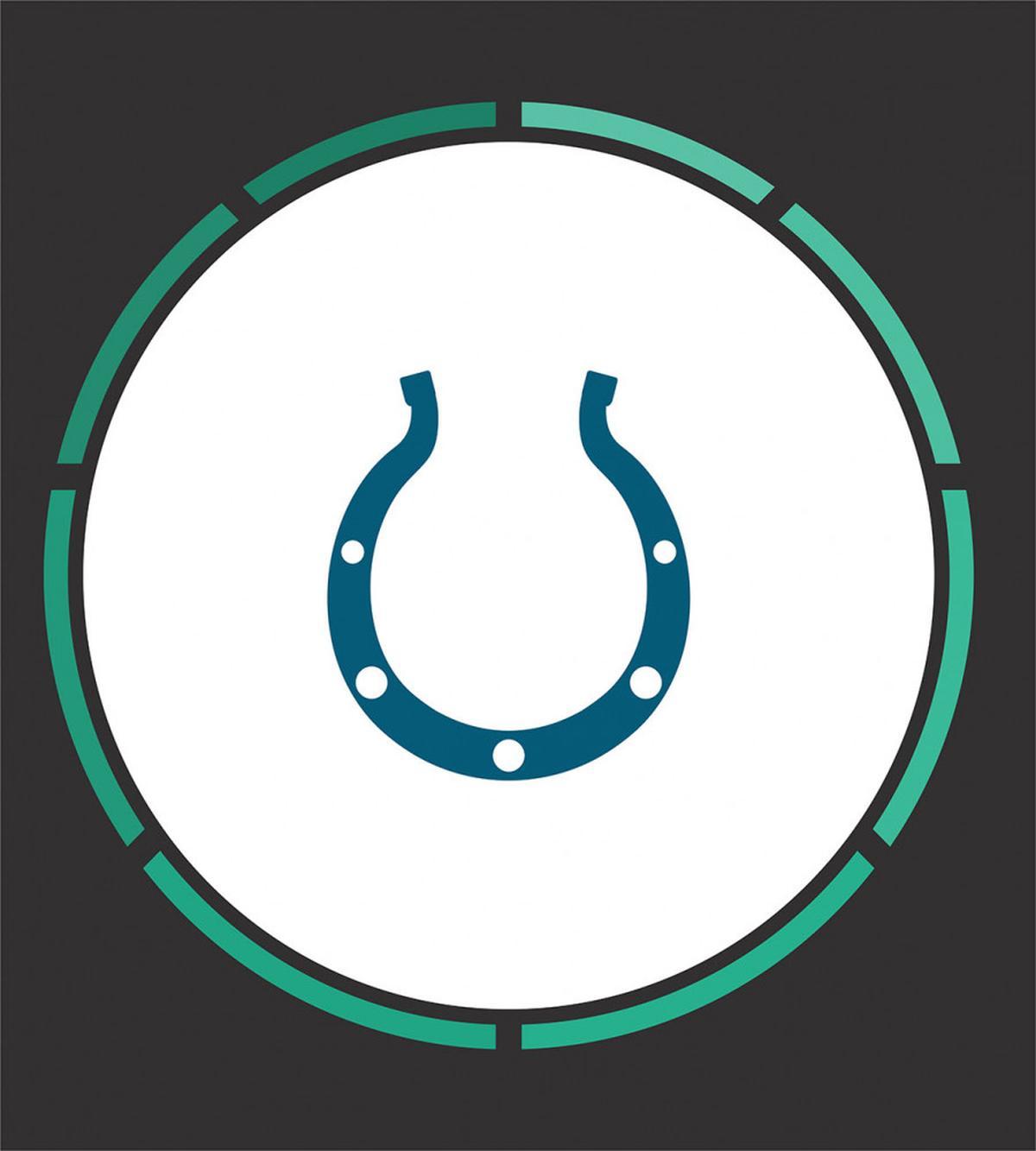Horseshoe Wild West Luck — Pattern