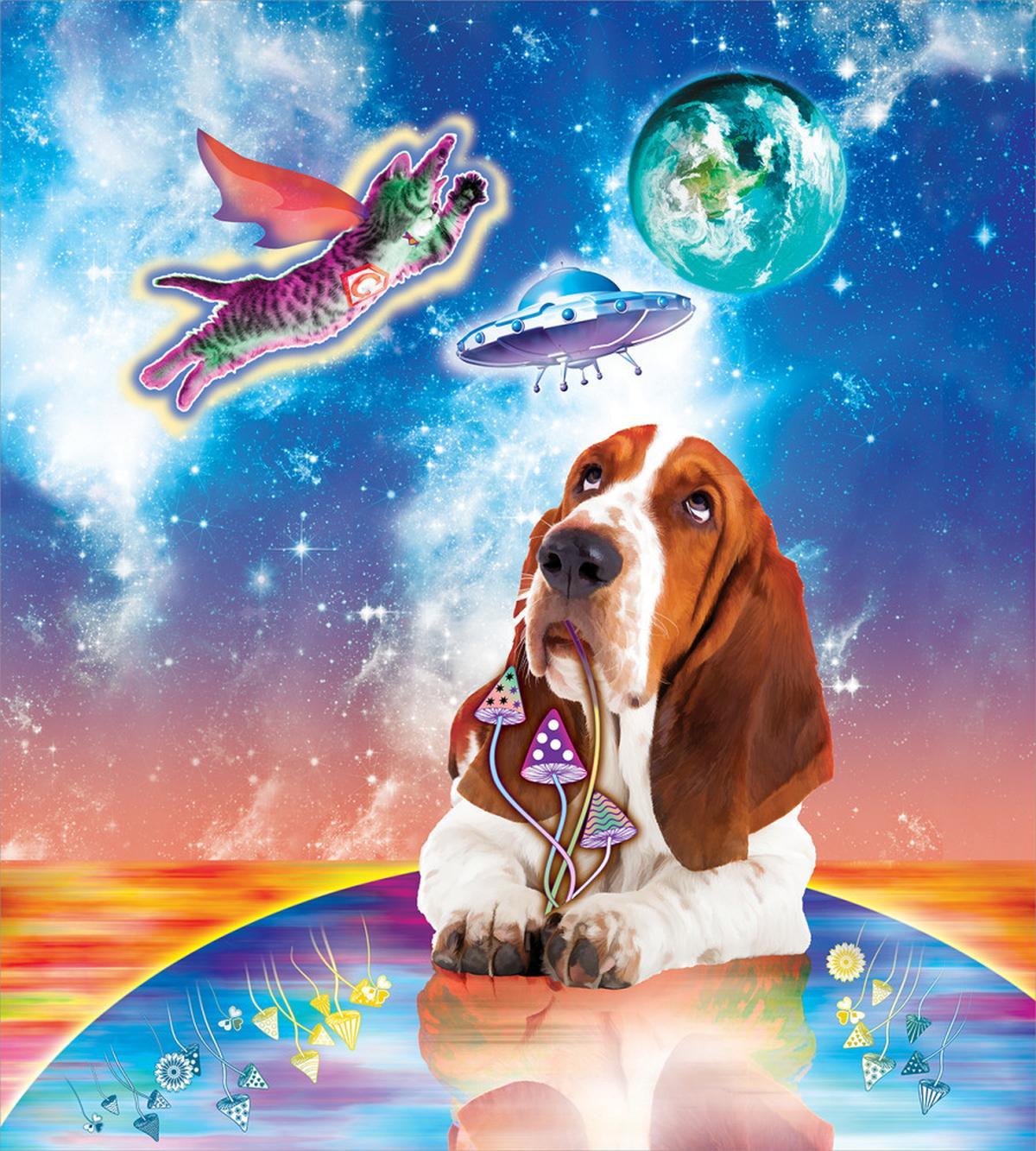 Cosmic Animals UFO — Pattern