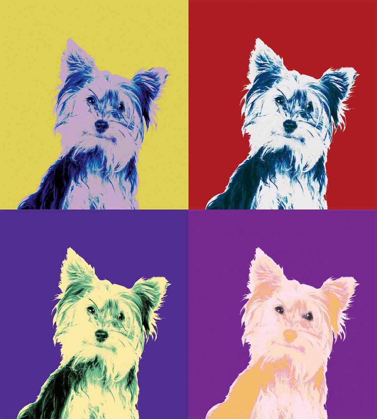 Colorful Portrait Vintage — Pattern