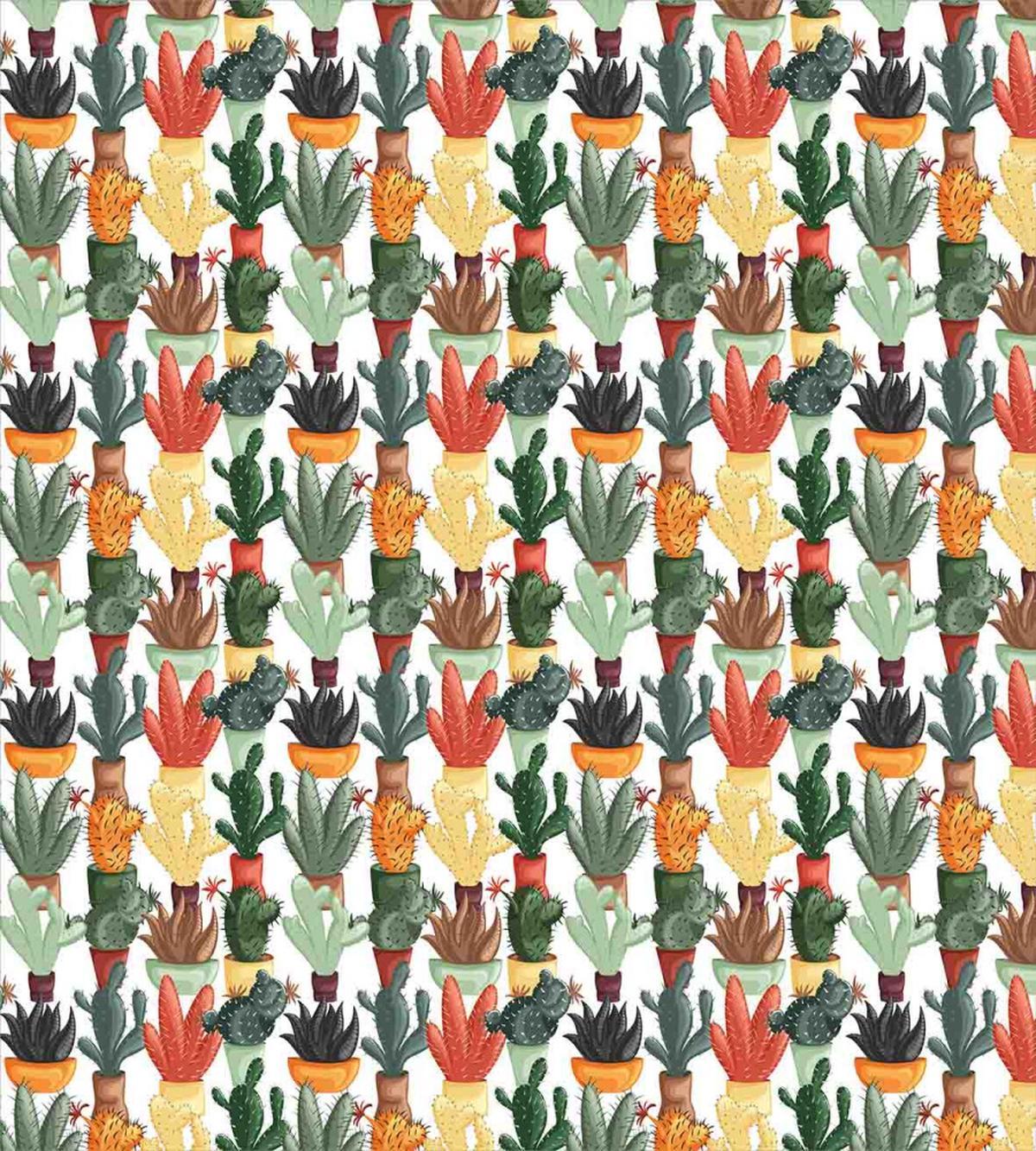 Mexican Succulent Plant — Pattern