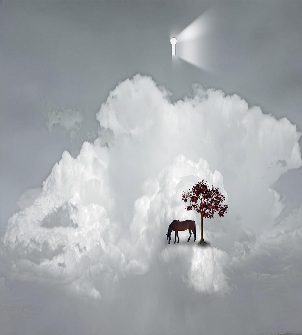 Horse Spring Tree Cloud — Pattern