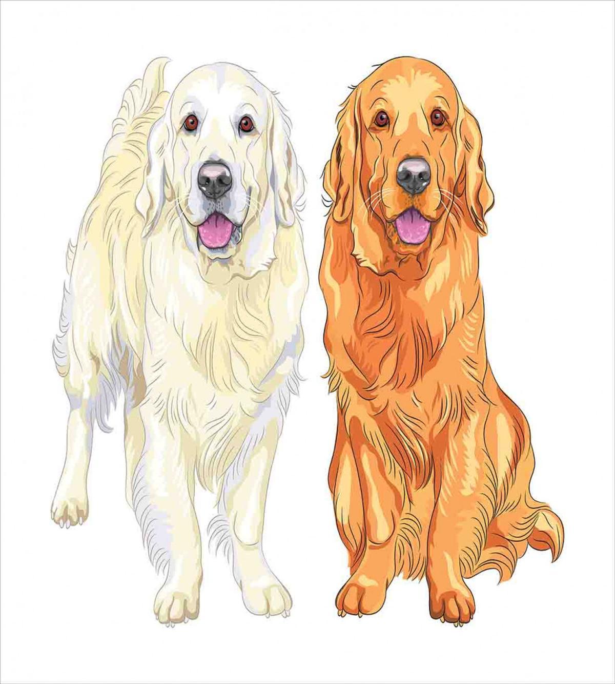 Smiling Dogs — Pattern