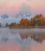 Outdoorsy Pink Sky Forest