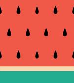 Minimalistic Watermelon Art