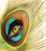 Peacock Feather Eye