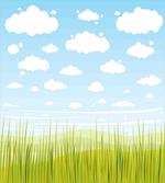 Grass and Clouds Landscape