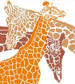 Wildlife in Africa