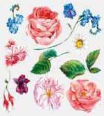 Bouquet Set with Rose
