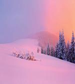Winter Scenery