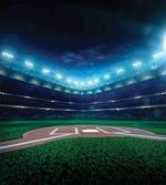 Baseball Stadium Night