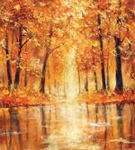 Forest Lake Fall Trees