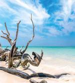 Seascape Sandy Beach