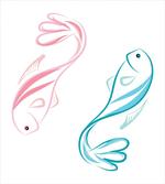 Male and Female Tuna Fish
