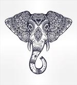Paisley Animal