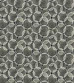 Monochrome Trunk Circles