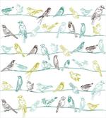 Birds Sitting on Wires