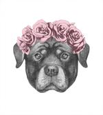 Portrait of Dog in Roses