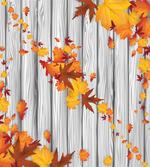 Fall Maple Leafs Tree