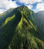 Exotic Hawaii Nature