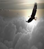 Sublime Creature Clouds