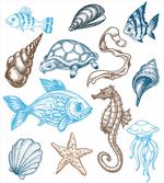 Underwater Marine Life