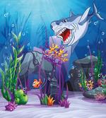 Evil Shark Little Fish
