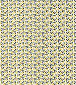 Repetitive Citrus Fruits
