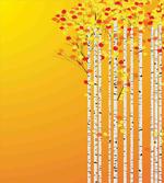 Autumn Season Birch Foliage