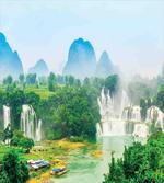 Misty Jungle Forest