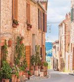 Medieval Old Village
