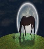 Horse on Hill Full Moon artwork