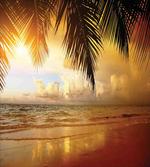 Sunset Caribbean Palms